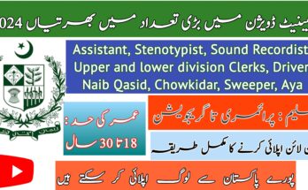 Cabinet Division Jobs 2024