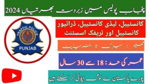 Jobz Hunting - Explore Entertainment Trends, Online Earnings & Job